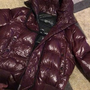 Burgundy Moncler